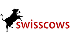 Read more about the article Swisscows – die datensichere Suchmaschine