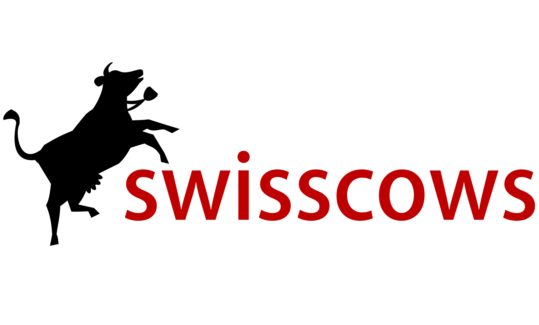 You are currently viewing Swisscows – die datensichere Suchmaschine